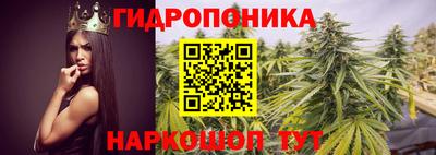 прущие крисы Кулебаки