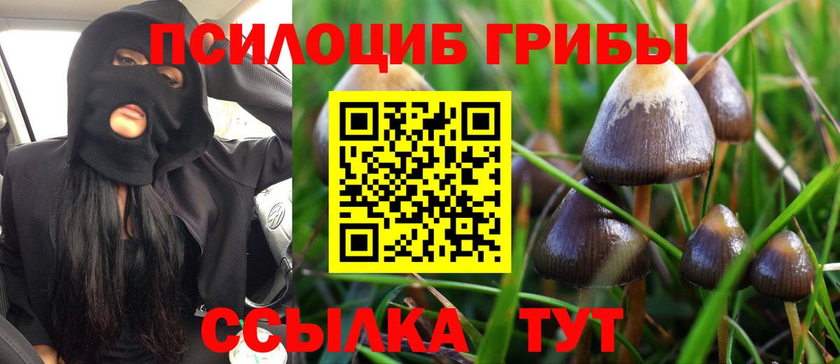 Галлюциногенные грибы MAGIC MUSHROOMS  Вход с VPN  Когалым  Псилоцибиновые грибы GOLDEN TEACHER 